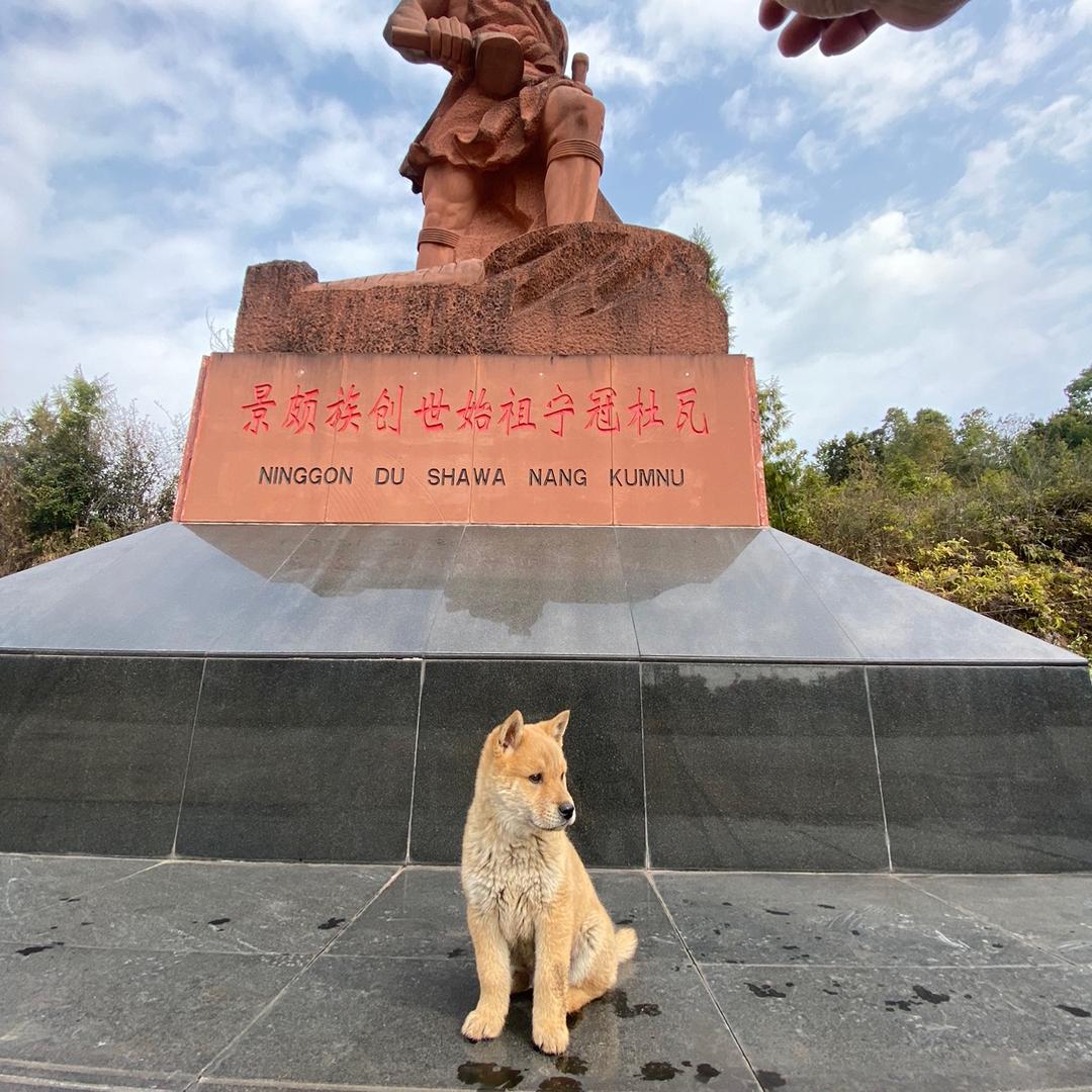 游钓魏斯李