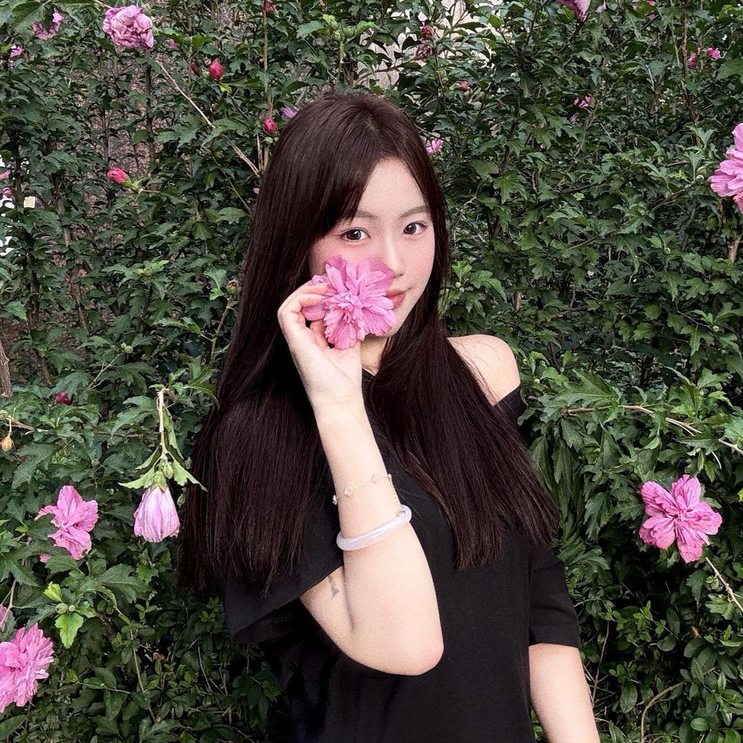 美晨
