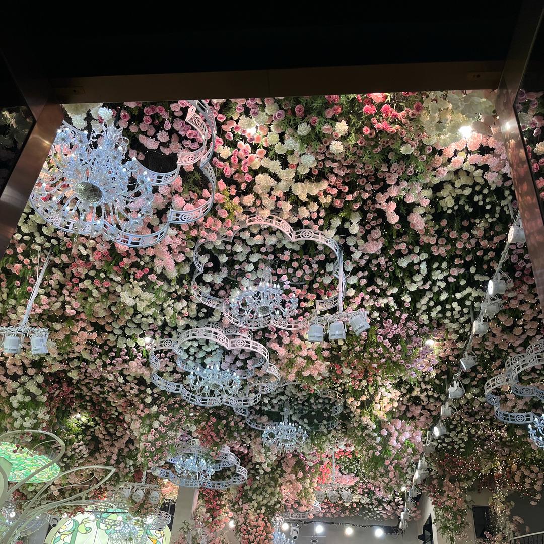心有所属♥