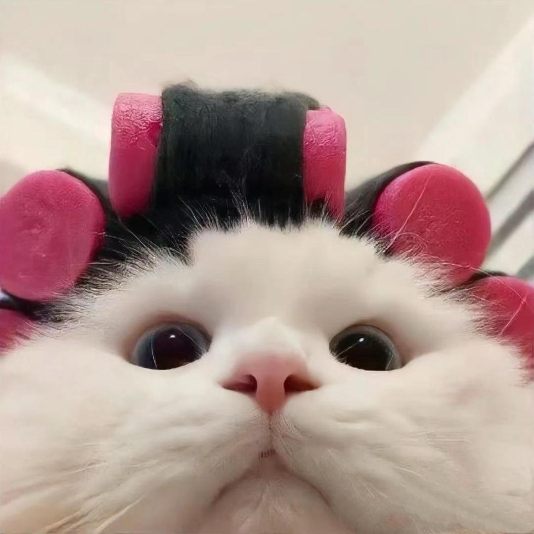 夹心不要心