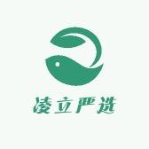 凌立严选