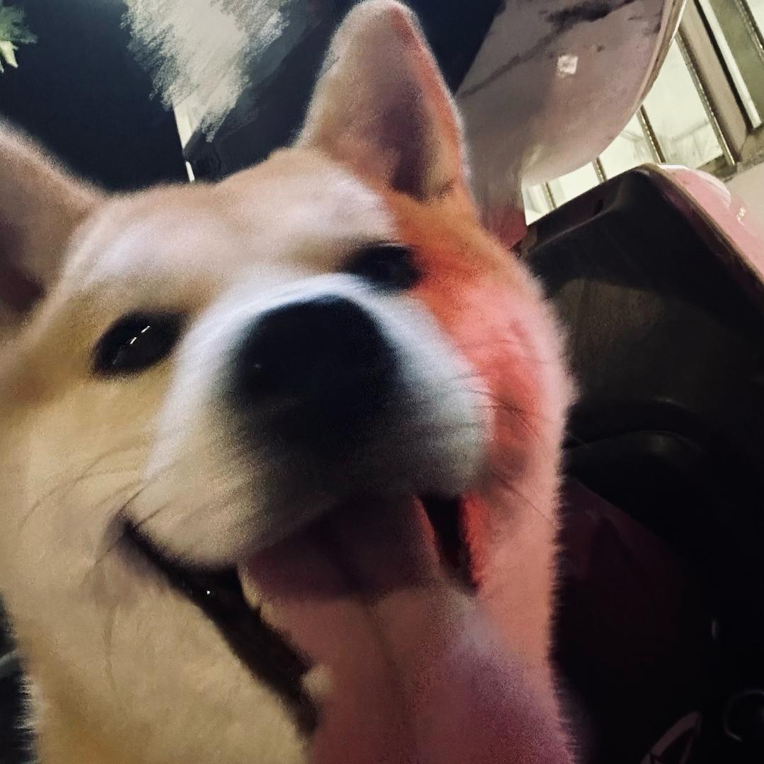发财的日记