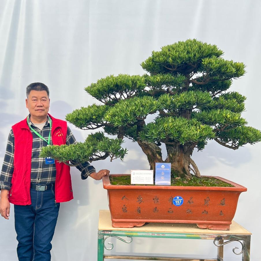 融盛盆景园