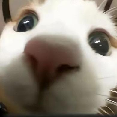 录音带