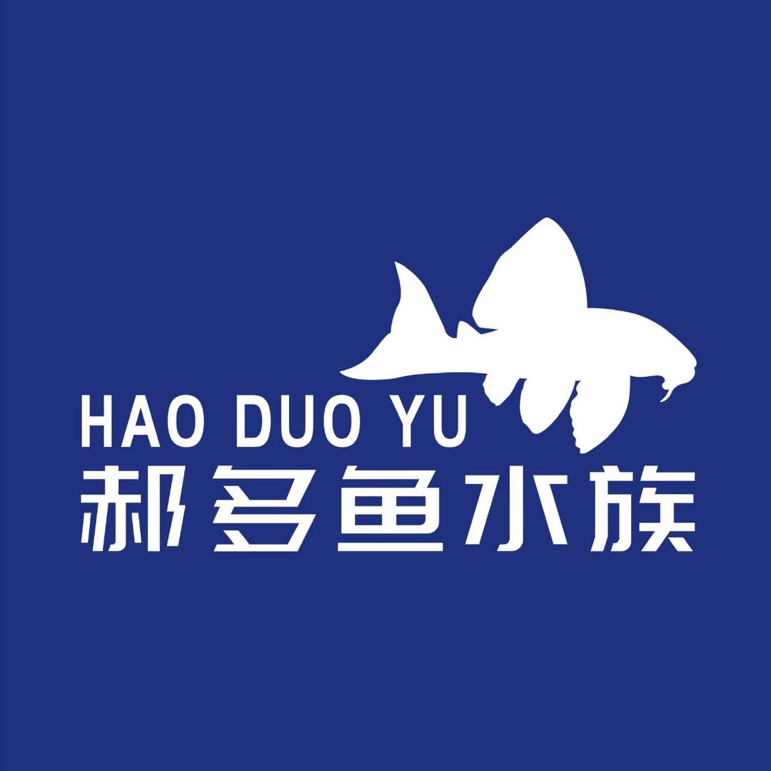 郝多鱼异型鱼