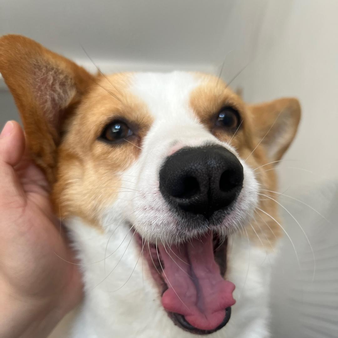 伸懒腰