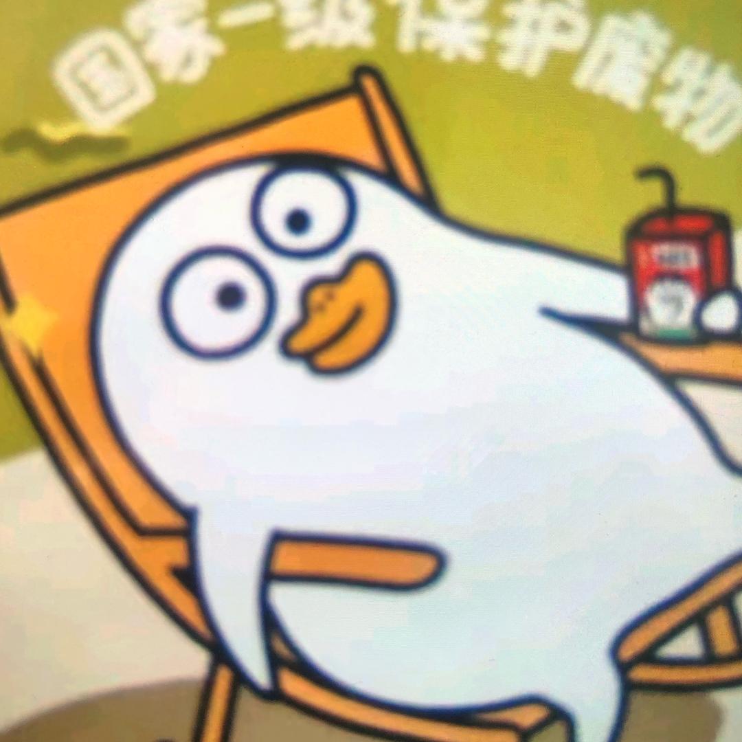 炫级茜网络