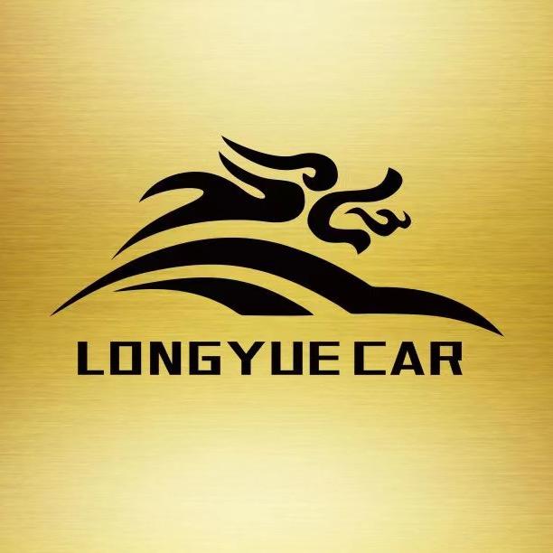 阜阳龙跃汽车销售有限公司