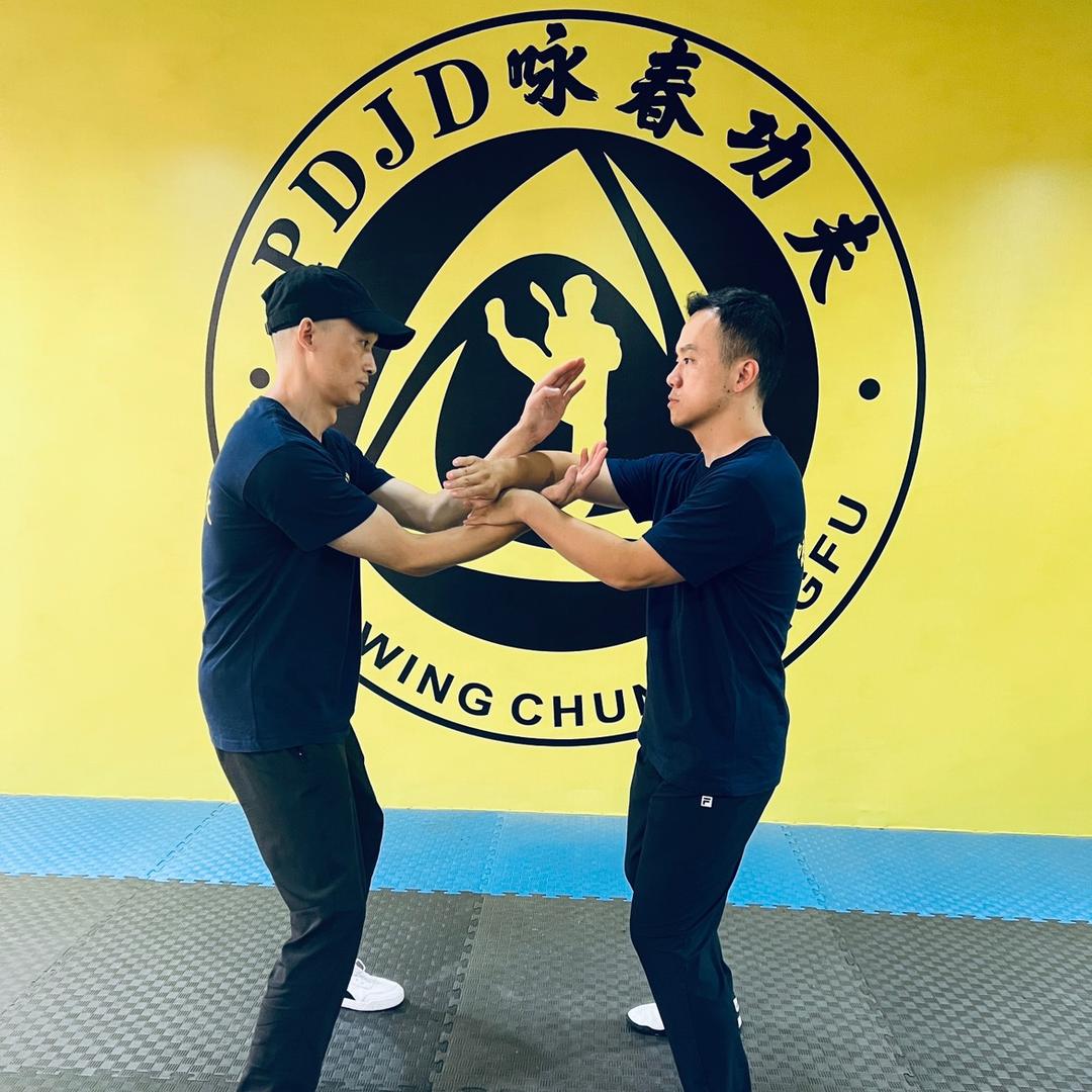 咏春 ·功夫木头人