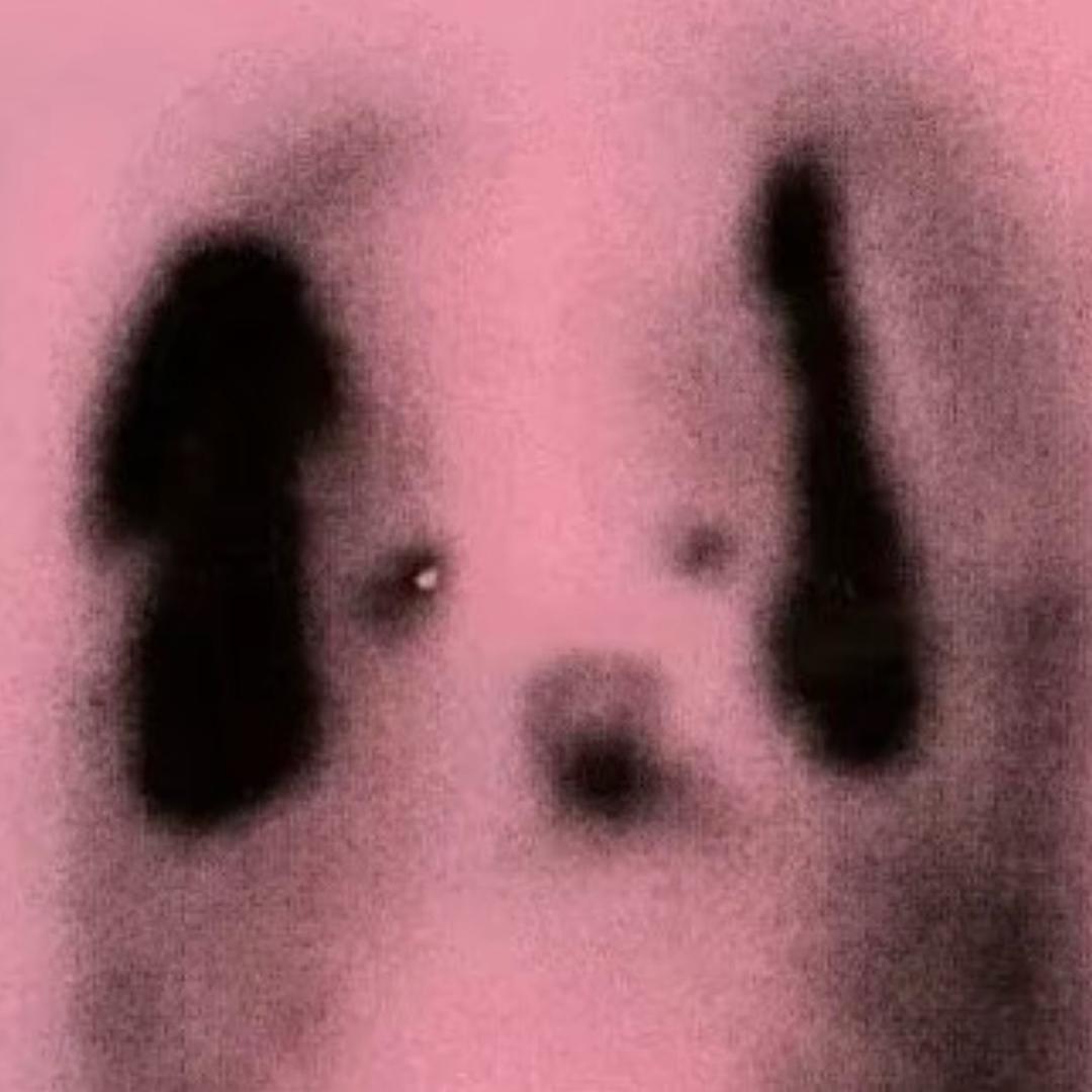 賈西㛝