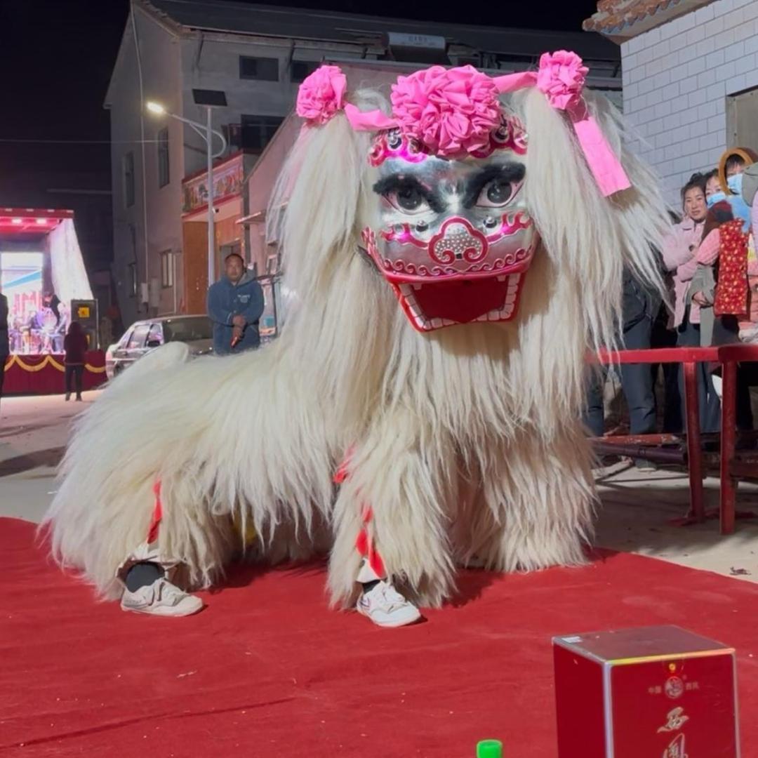 濮阳小白狮精彩演绎团醉狮（小展）
