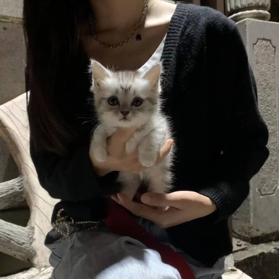 Ying莹