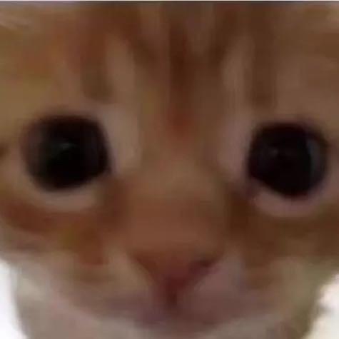 徐强：）