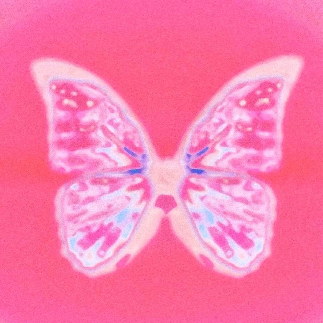 页蝶