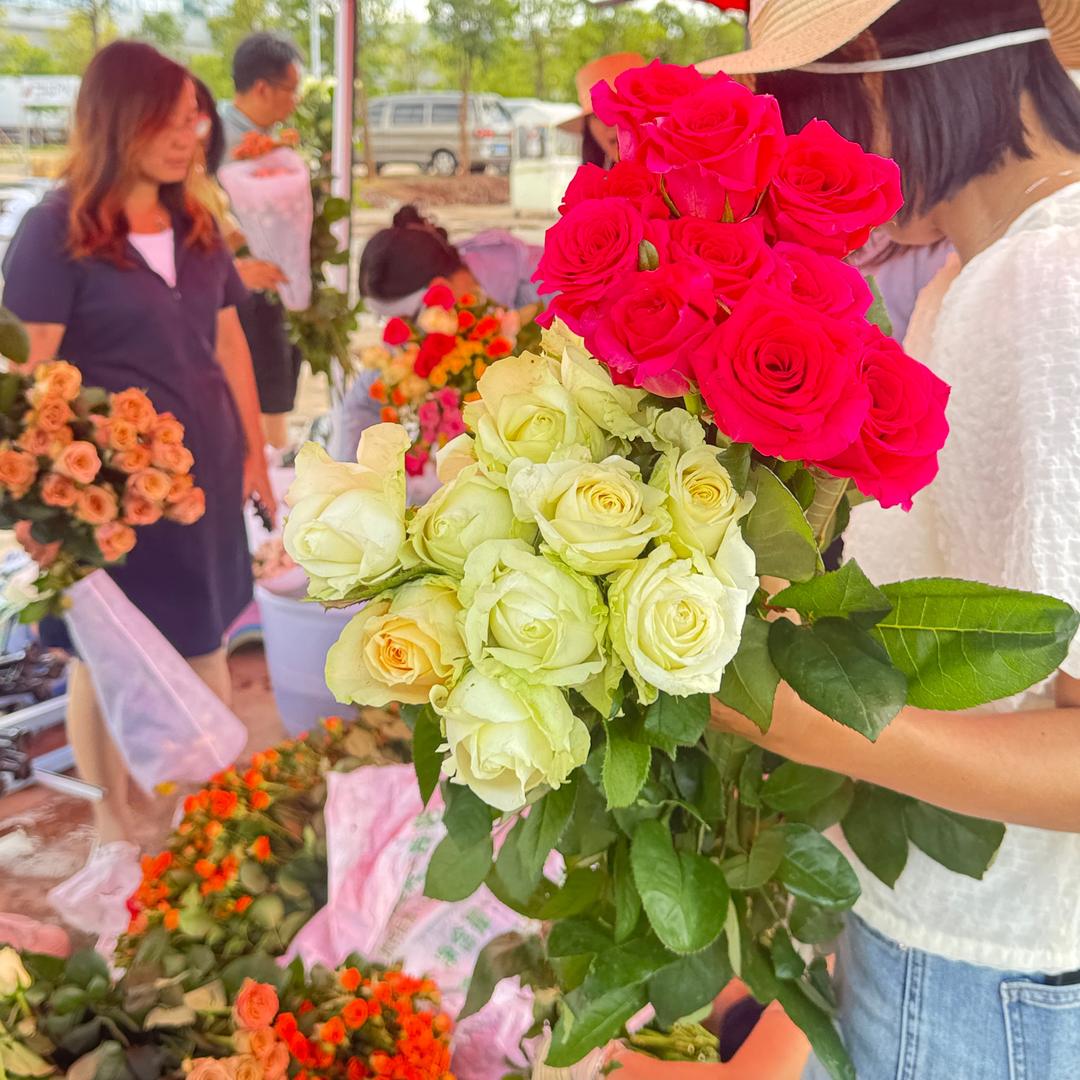 中国火城·浪漫花都🌹