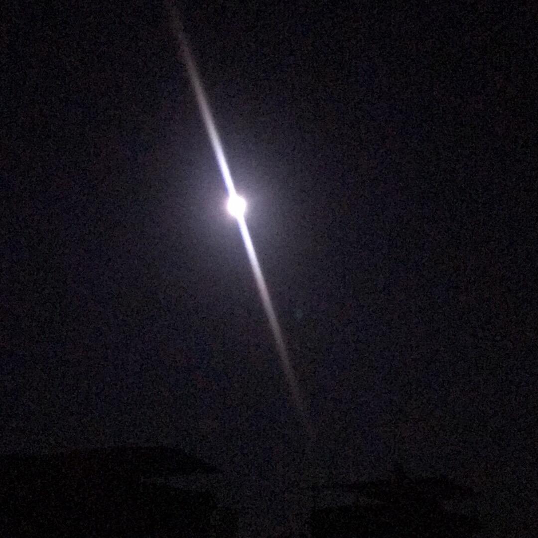 叫我地主家的傻儿子