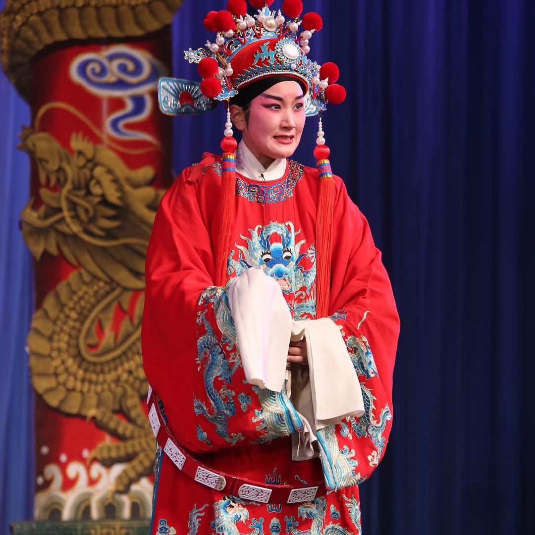 演员刘蕊
