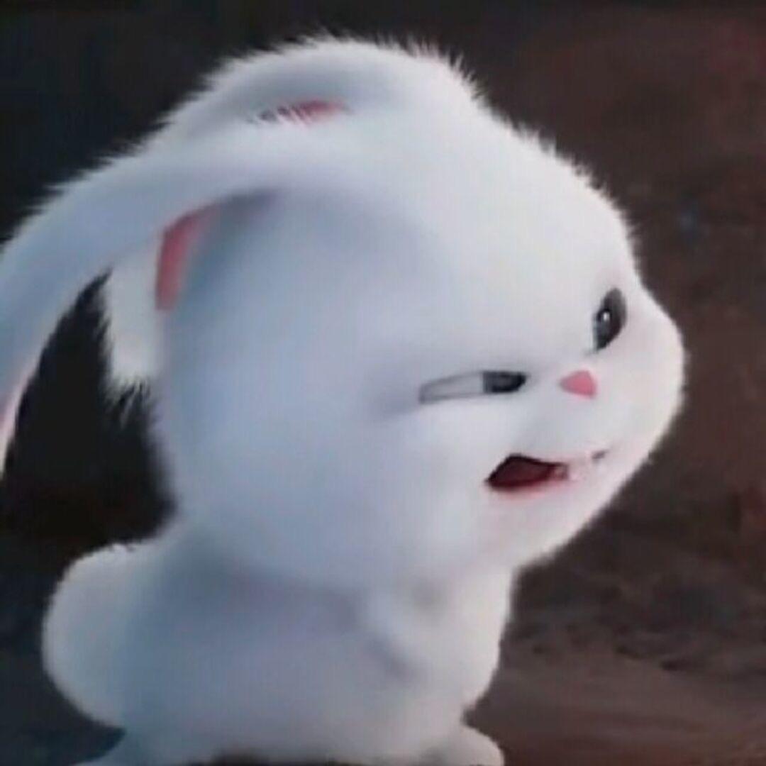 零度