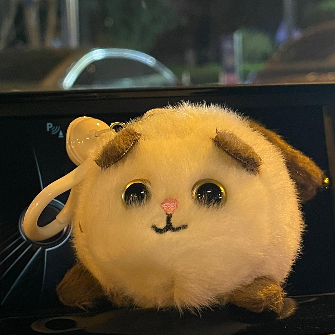 云云～