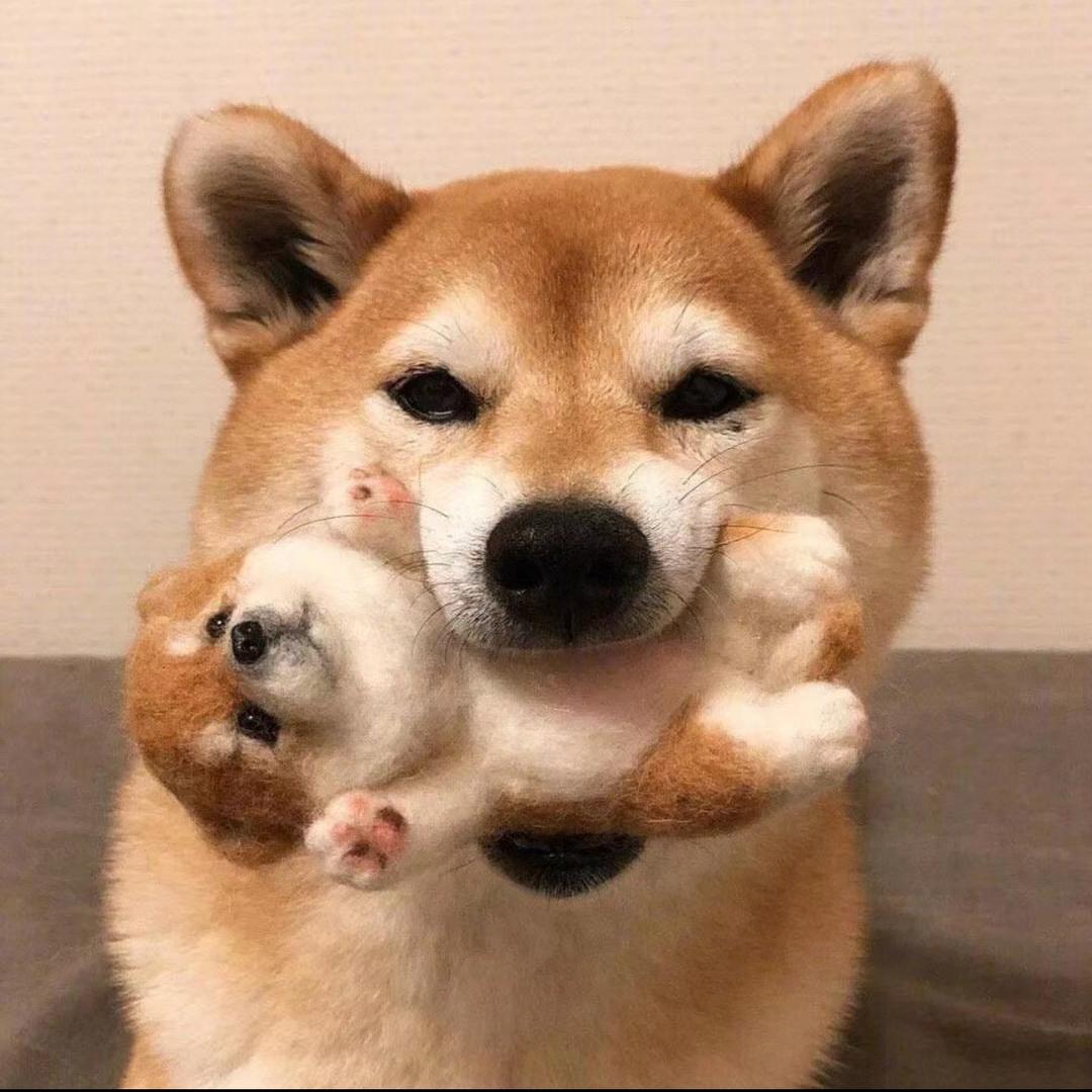 明甜见
