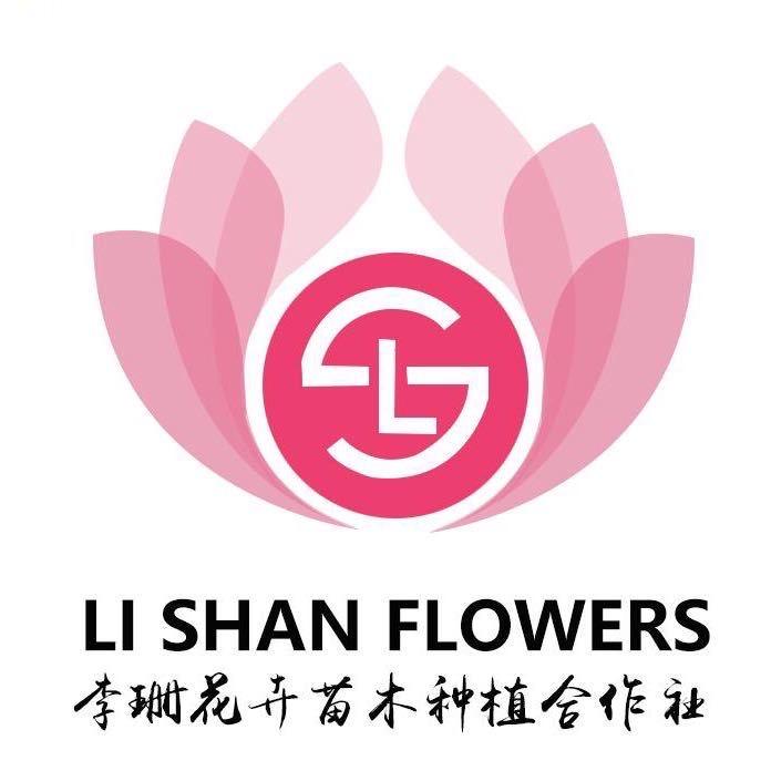 青州市李珊家花境阳台室外花卉