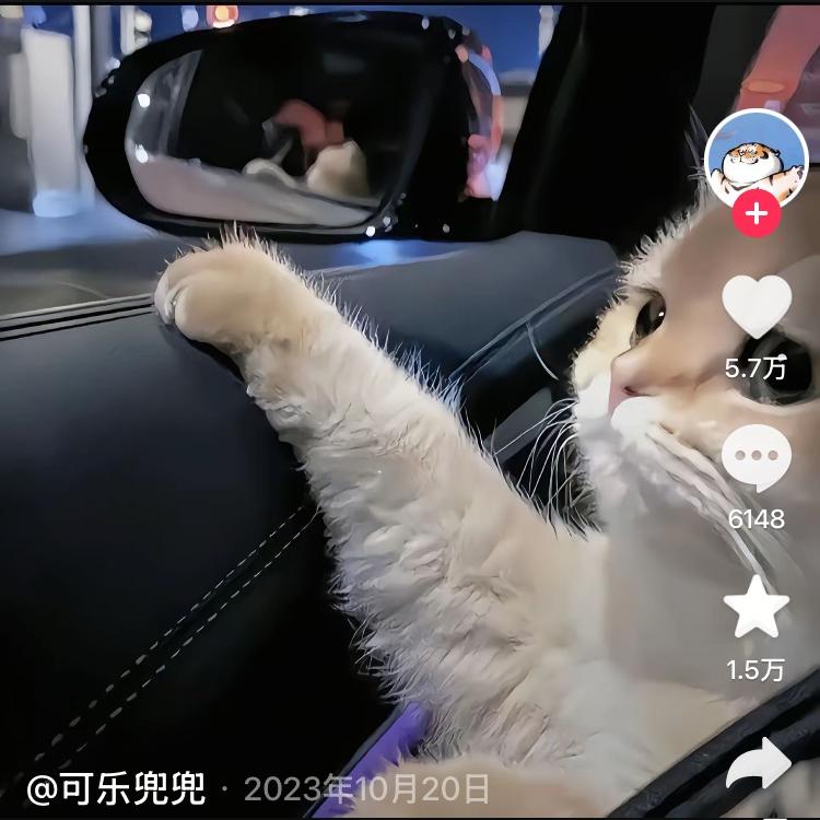 联坊电子商务