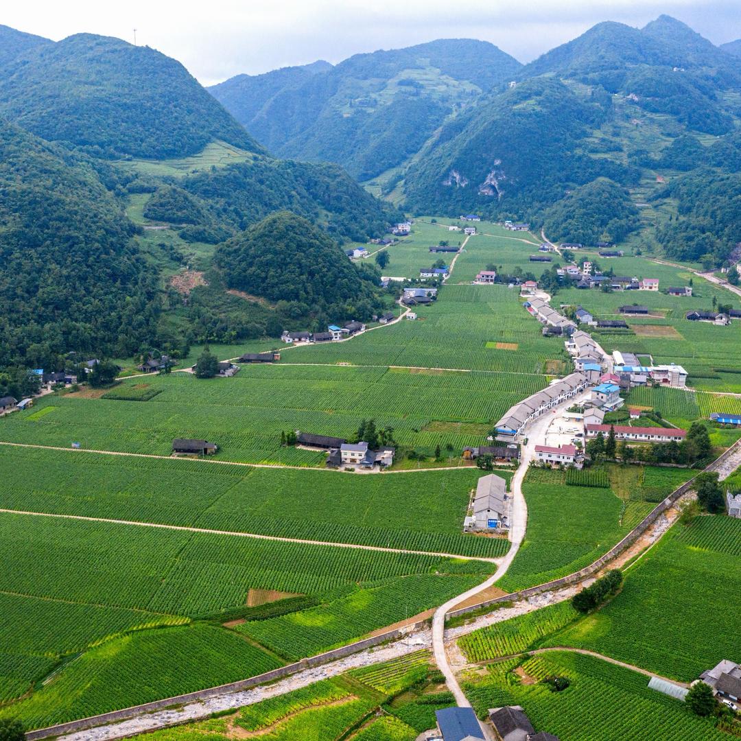 农村小张