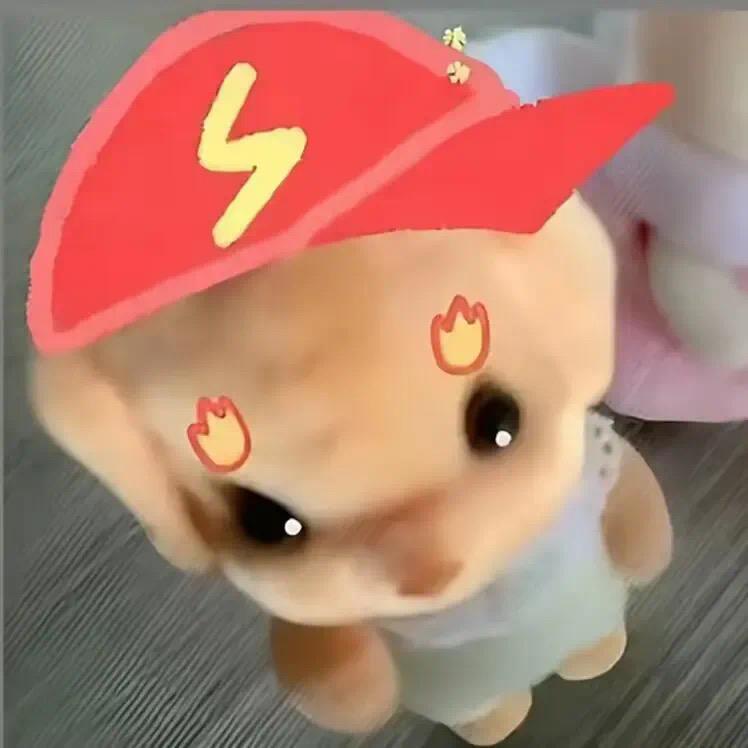 是菠萝头吖