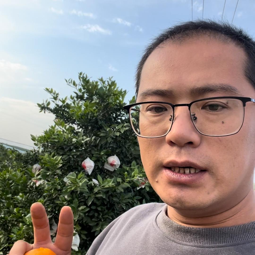 小木