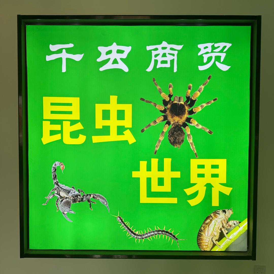千虫商贸