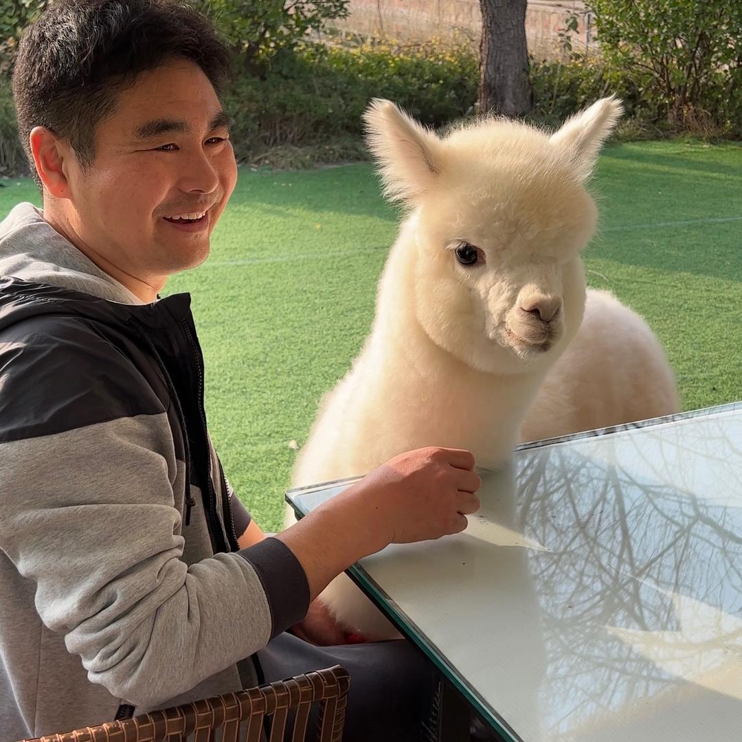 小老张和神兽小洁癖🐑