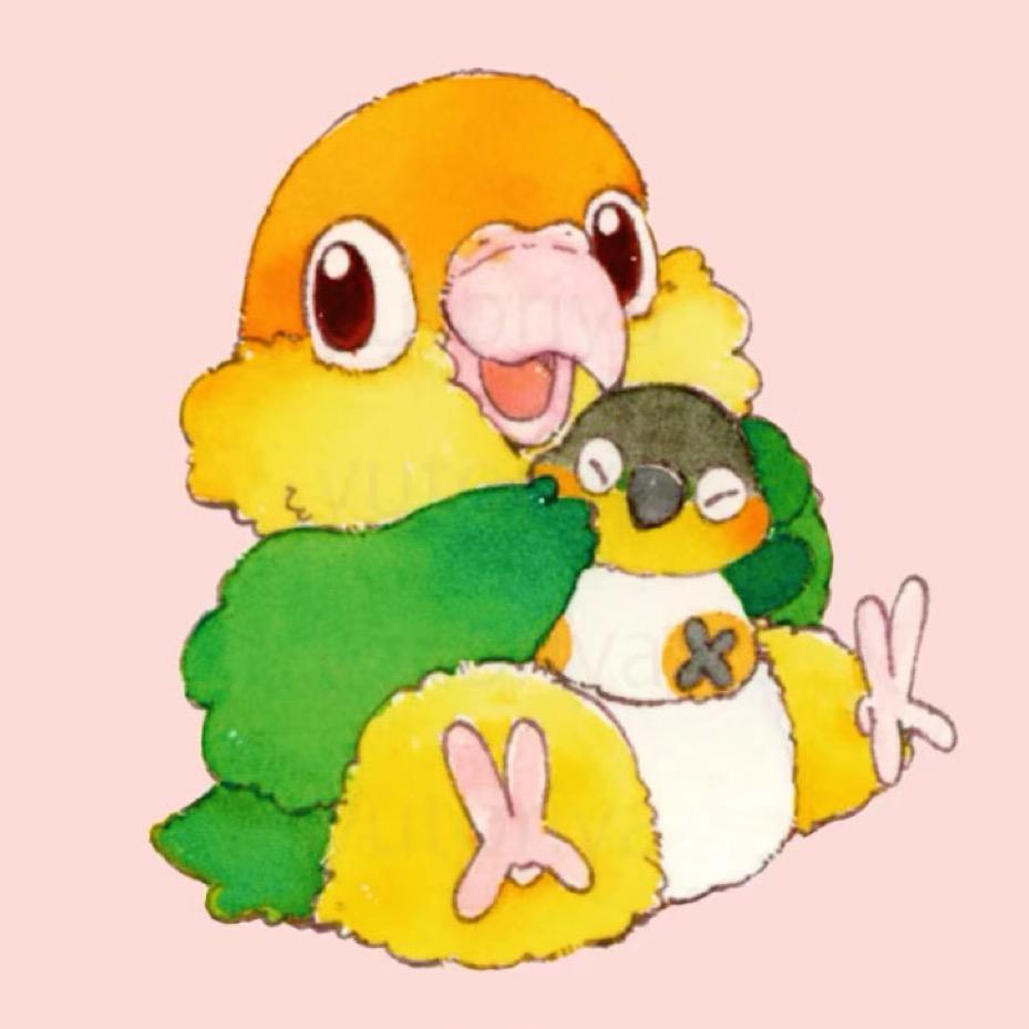 菠萝萝