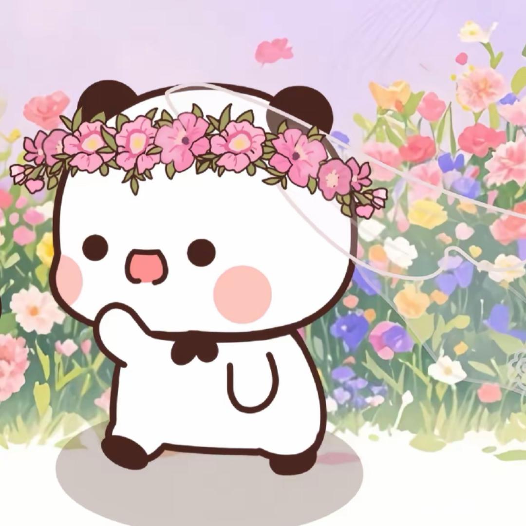 美美🐰