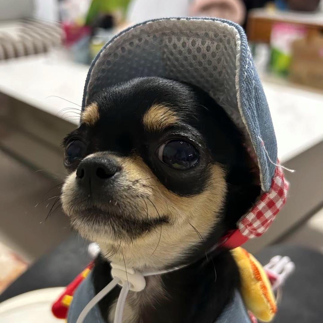 🥹