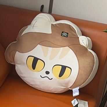 养宠梁会长