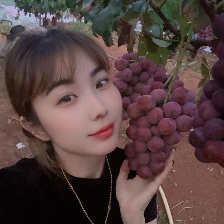 宾川左家云果de小左女士🌸