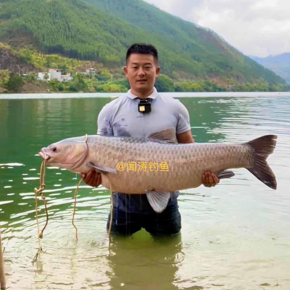 闻涛钓鱼