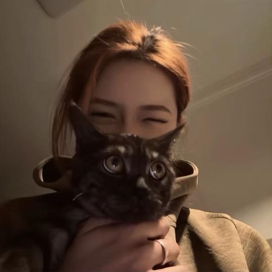 不浪漫小姐.