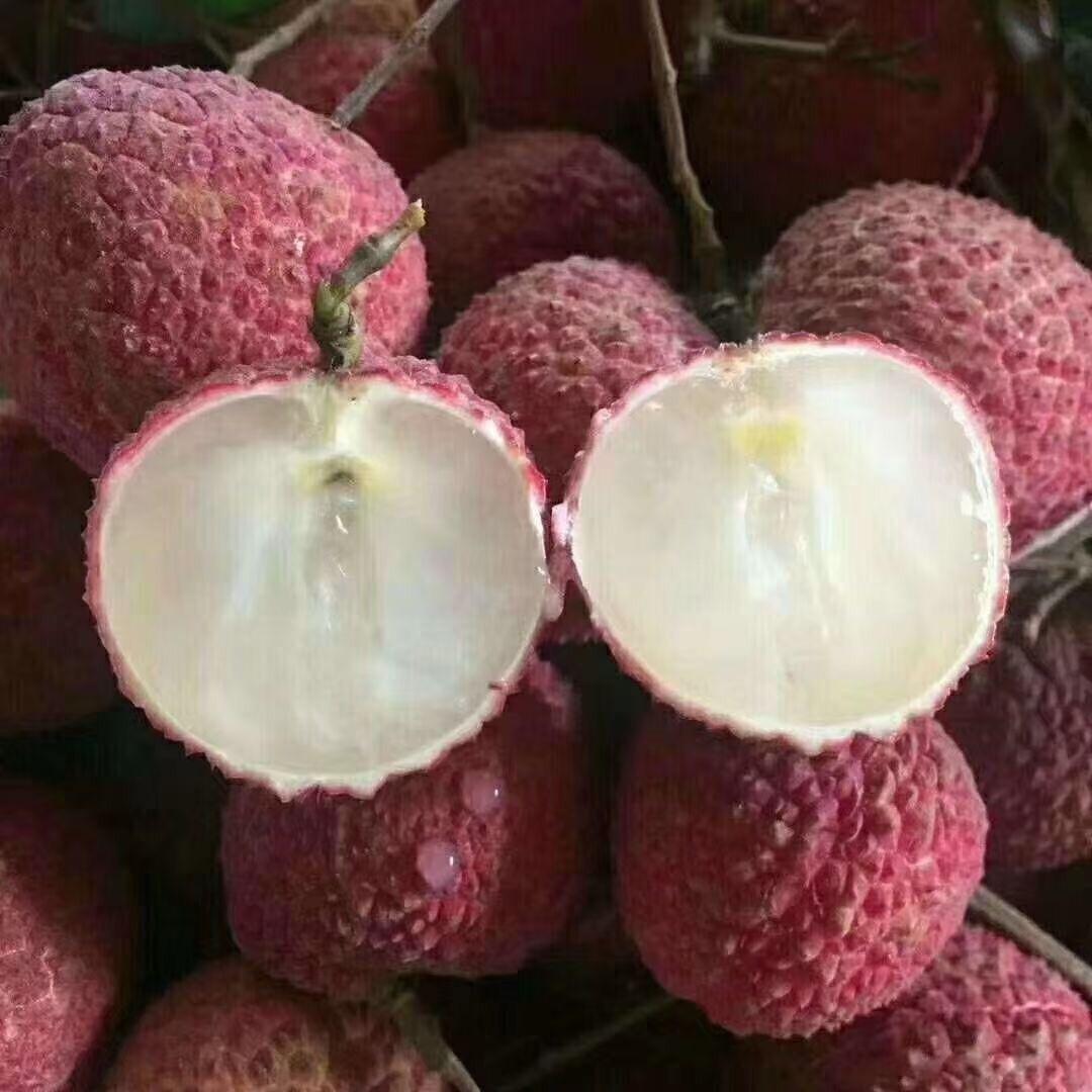 崇显果树苗木专营店