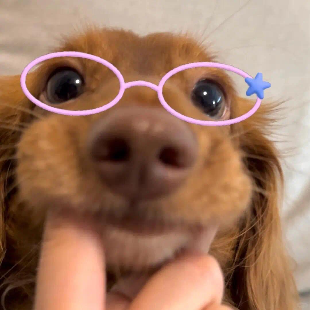 呆呆敏.