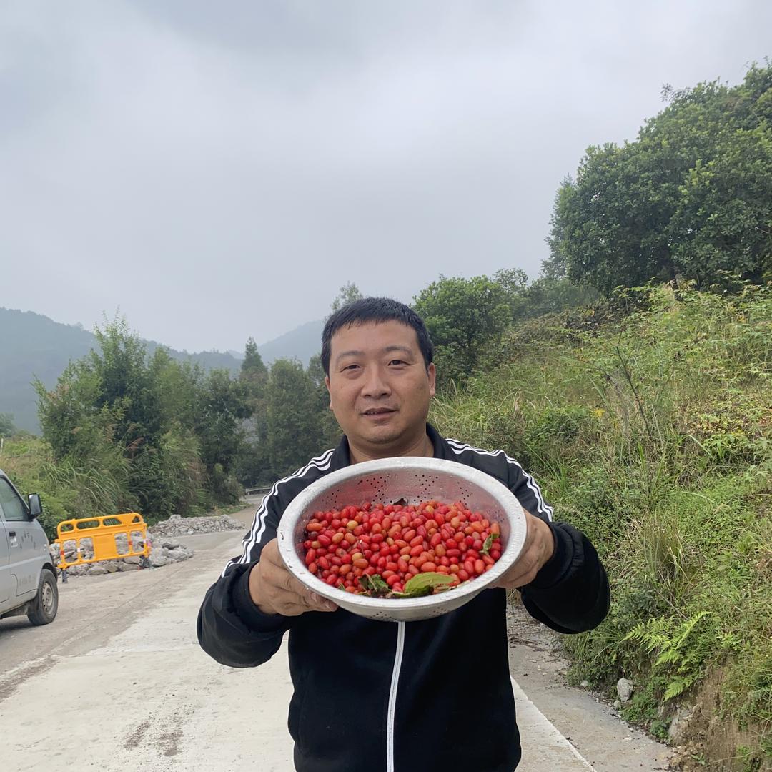 山肴土特产专营店浙八味