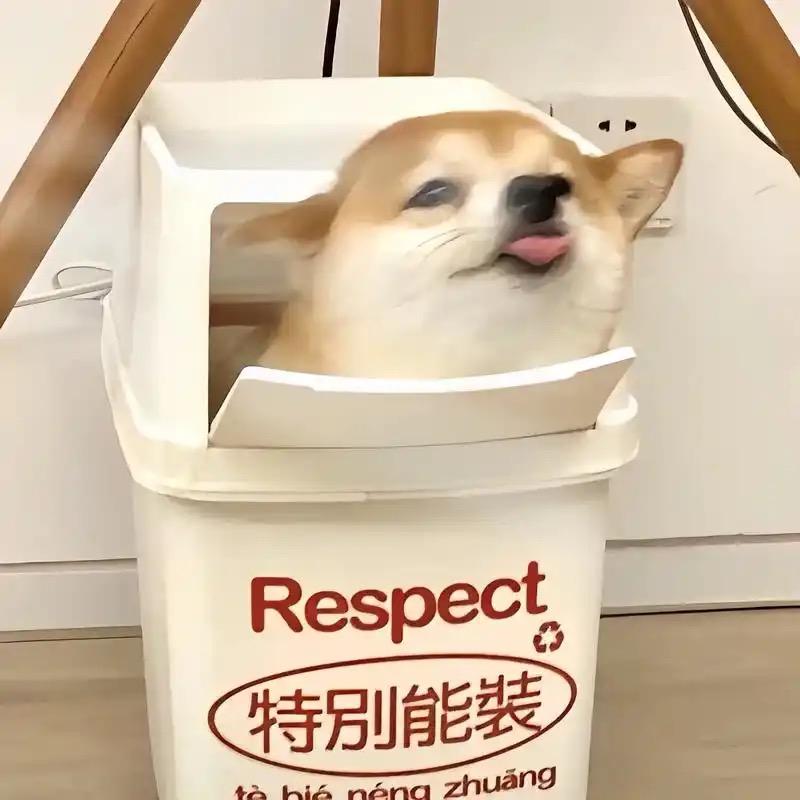 饭神神（三角洲行动）