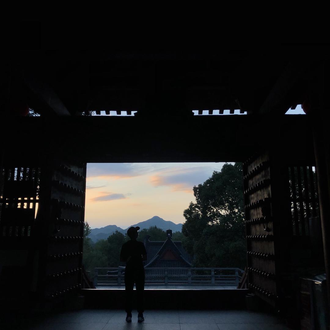菜菜不吃葱
