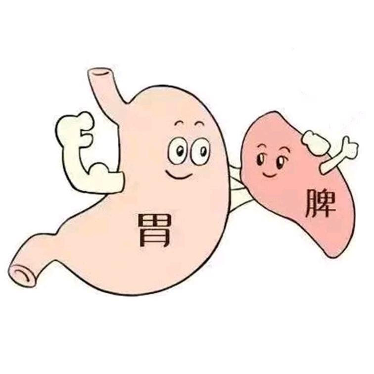 育儿脾胃孙老师
