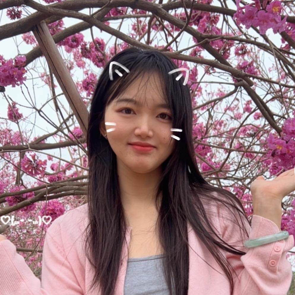 小杨收藏鉴宝
