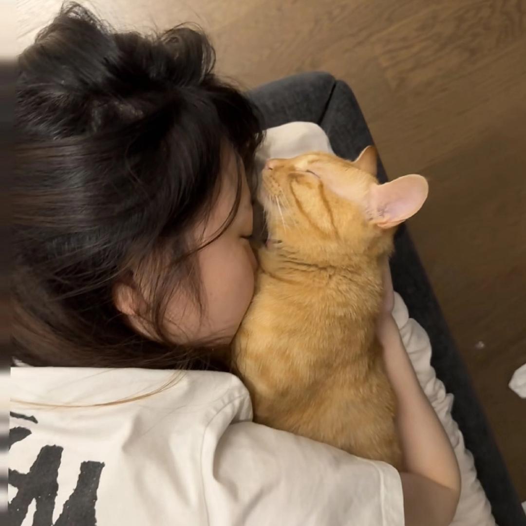 小蛋挞