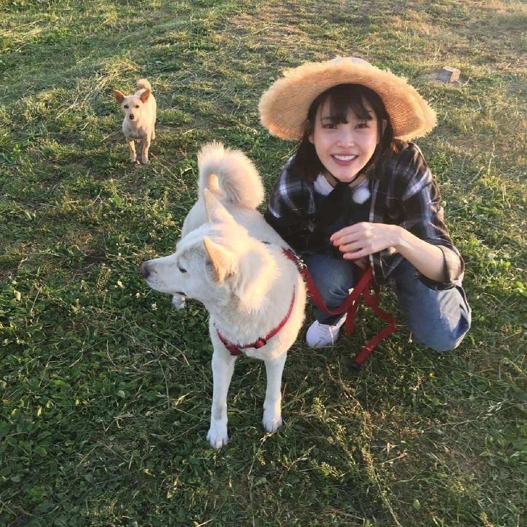 解树