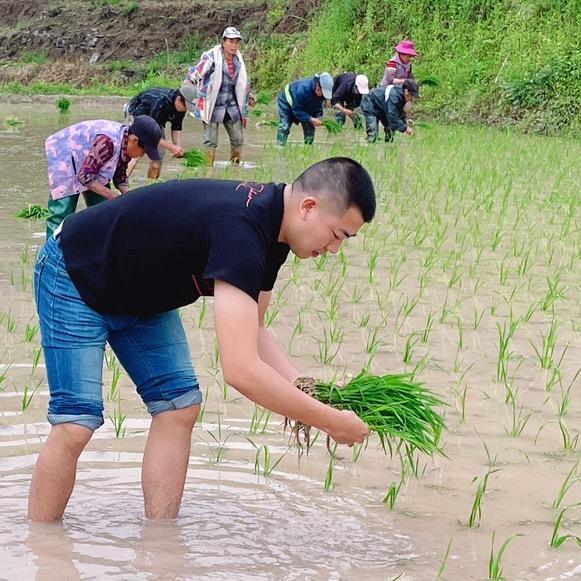 黔邻梯田米（李老幺）