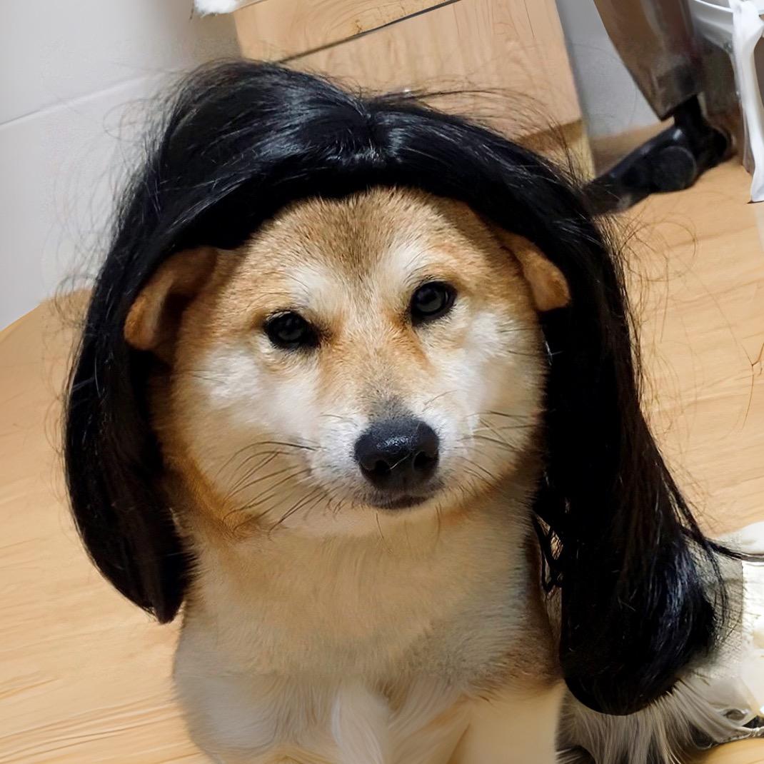 三狗组的老大