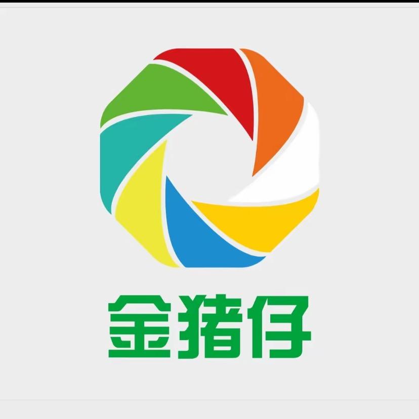 金猪仔食品供应商-广州